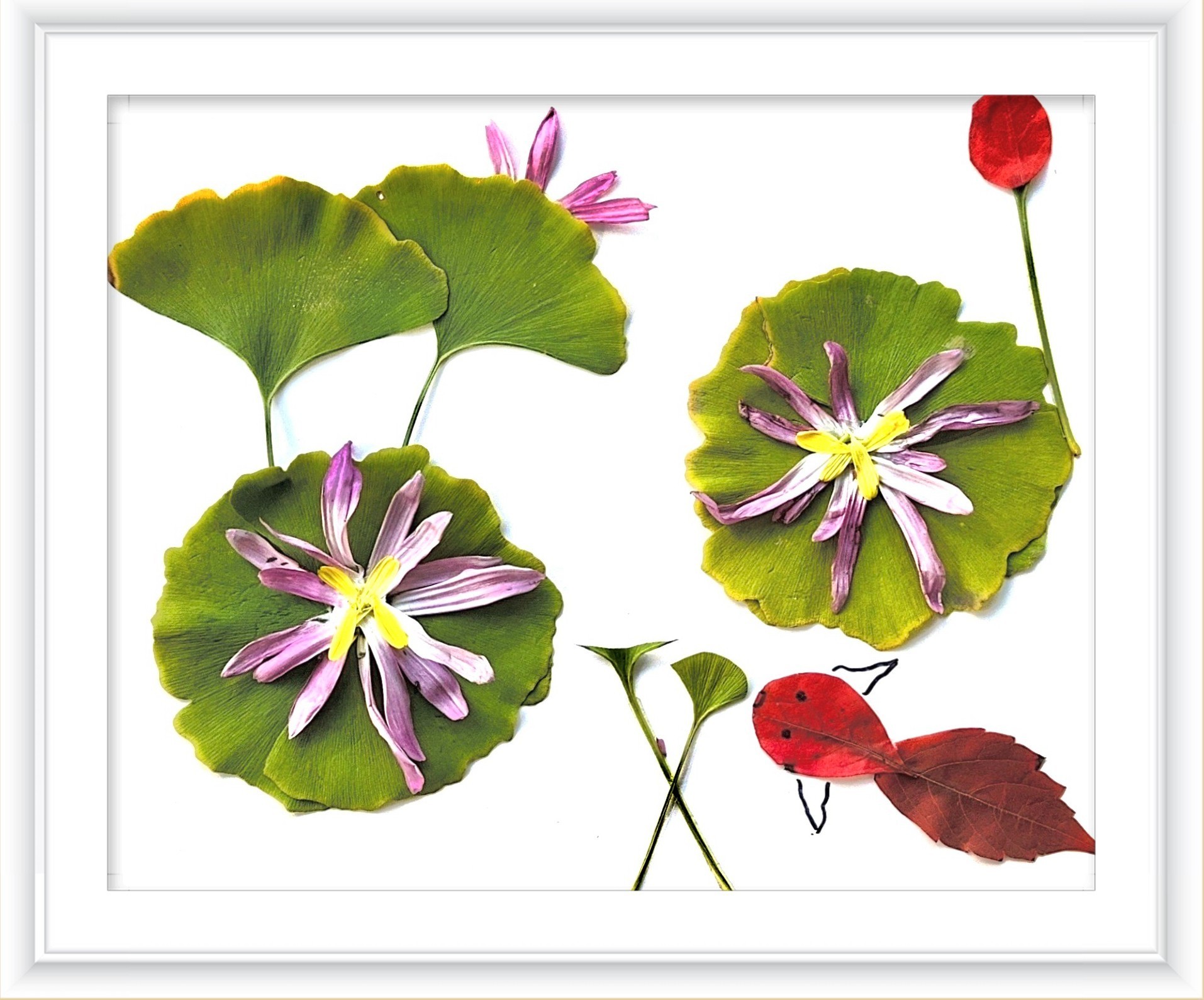 《一路清莲》作者：张颖蕊_副本.jpg