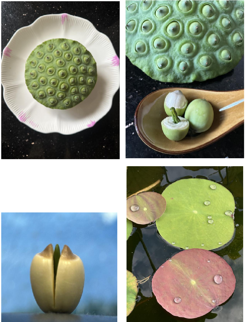 图片7_副本.png 图片7_副本.png